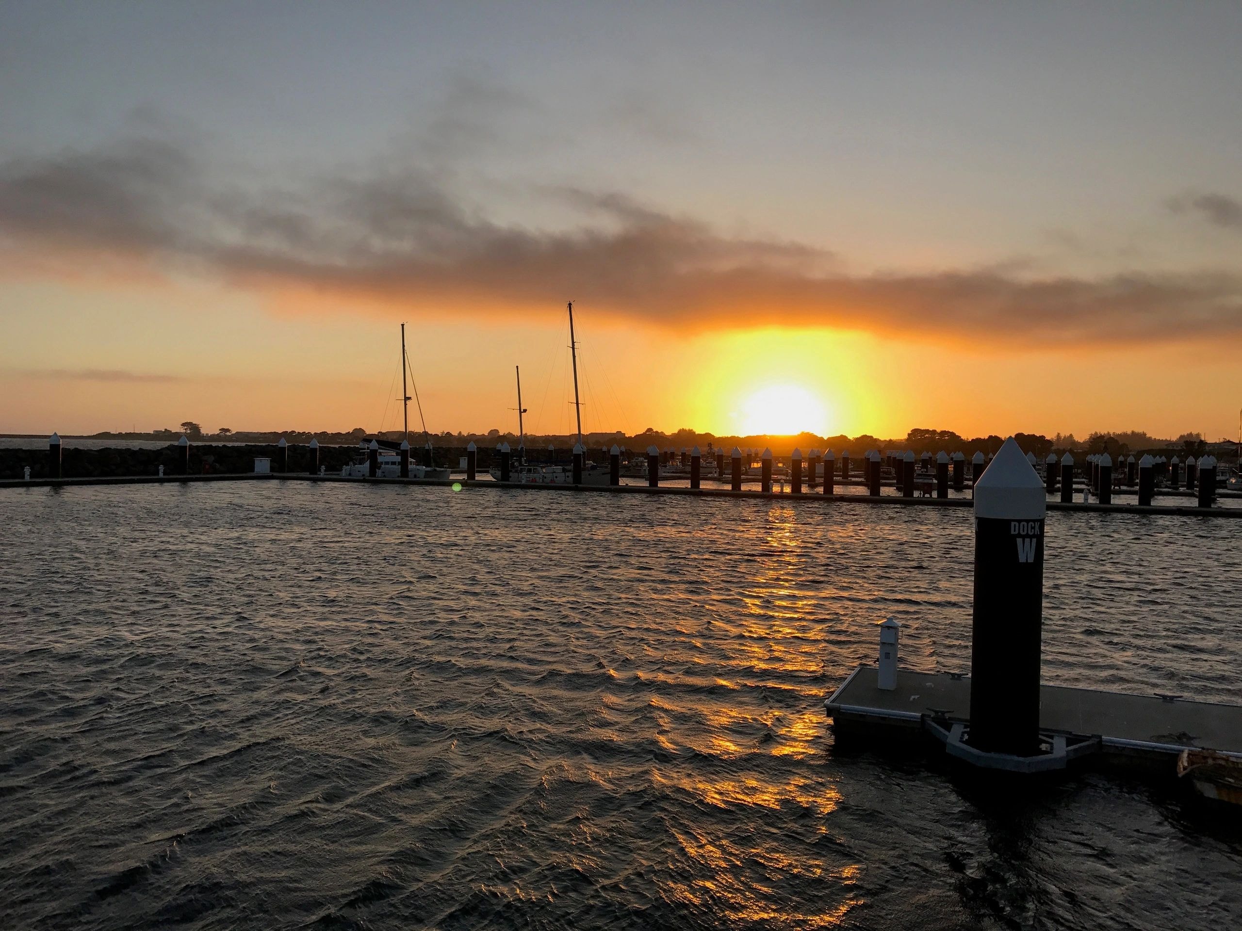 Sailboats moored at marina at sunset